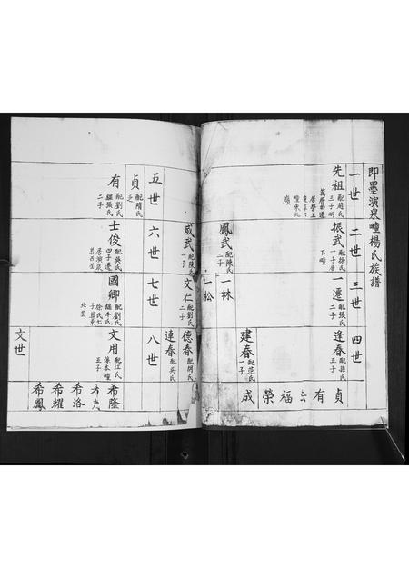 山东杨氏-演泉杨氏族谱[不分卷].pdf电子版插图3