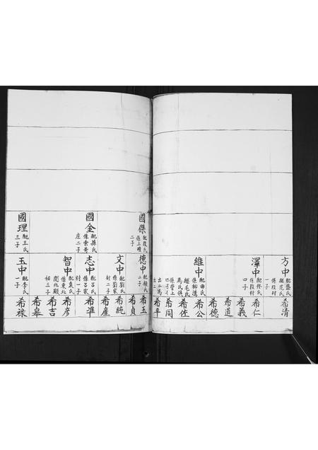 山东杨氏-演泉杨氏族谱[不分卷].pdf电子版插图5