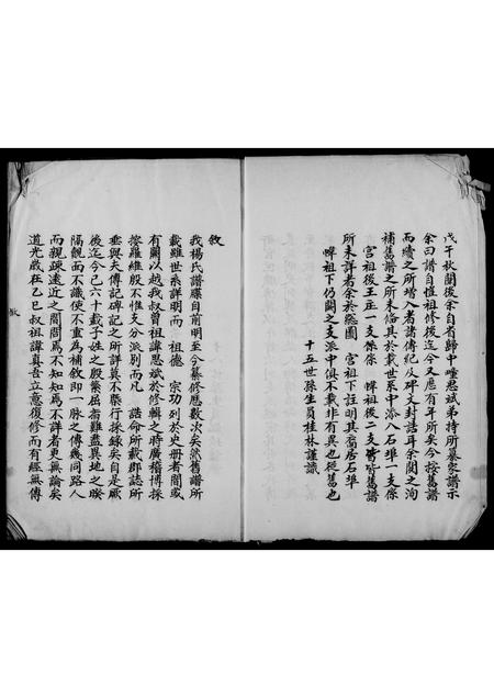 山东杨氏-杨氏家谱.pdf电子版插图2