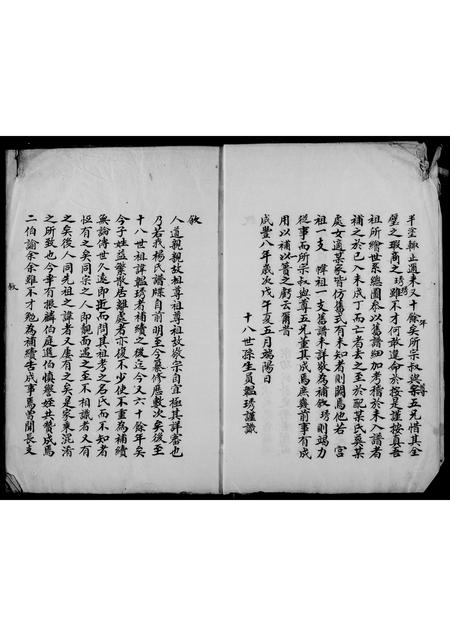 山东杨氏-杨氏家谱.pdf电子版插图3