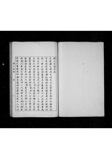 山东杨氏-杨氏家谱.pdf电子版插图1