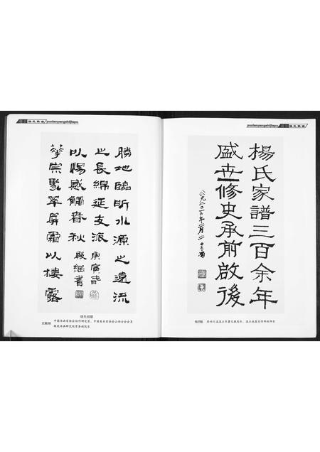 山西杨氏-杨氏家谱.pdf电子版插图4