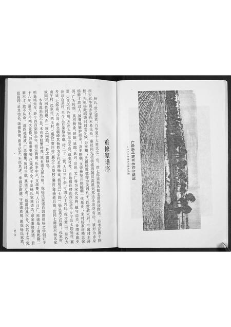 山西杨氏-杨氏家谱[不分卷].pdf电子版插图4