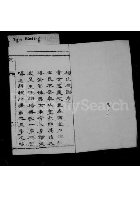 山西杨氏-杨氏族谱 [12卷续2卷].pdf电子版插图1