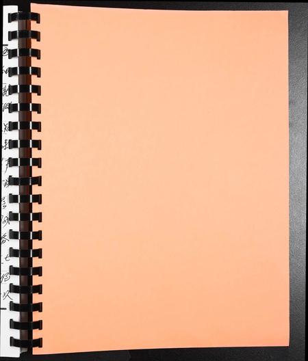 广西杨氏-容州杨佐时公族谱[1册].pdf电子版插图1