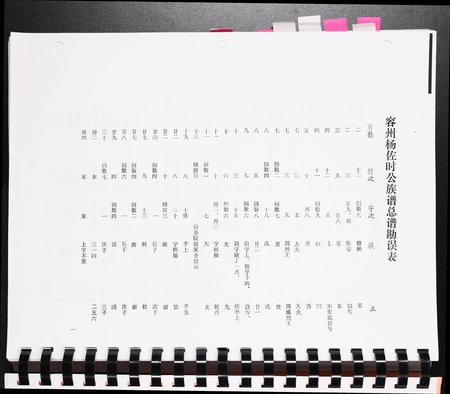 广西杨氏-容州杨佐时公族谱[1册].pdf电子版插图4