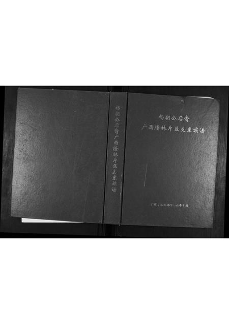 广西杨氏-杨朝公后裔广西省隆林片区支系族谱.pdf电子版插图