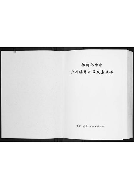 广西杨氏-杨朝公后裔广西省隆林片区支系族谱.pdf电子版插图1