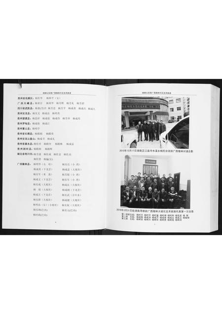 广西杨氏-杨朝公后裔广西省隆林片区支系族谱.pdf电子版插图5