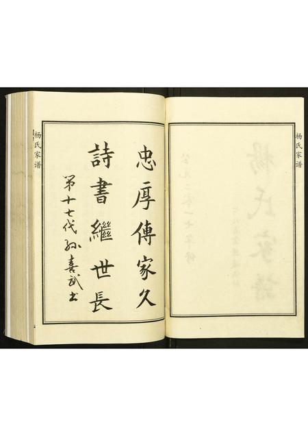 河北杨氏-杨氏家谱.pdf电子版插图2