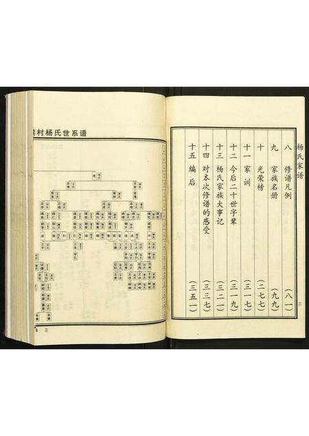 河北杨氏-杨氏家谱.pdf电子版插图4