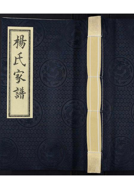 河北杨氏-杨氏家谱.pdf电子版插图