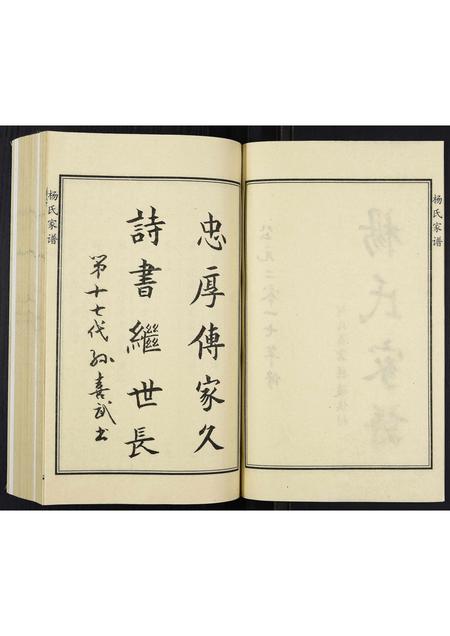 河北杨氏-杨氏家谱.pdf电子版插图2