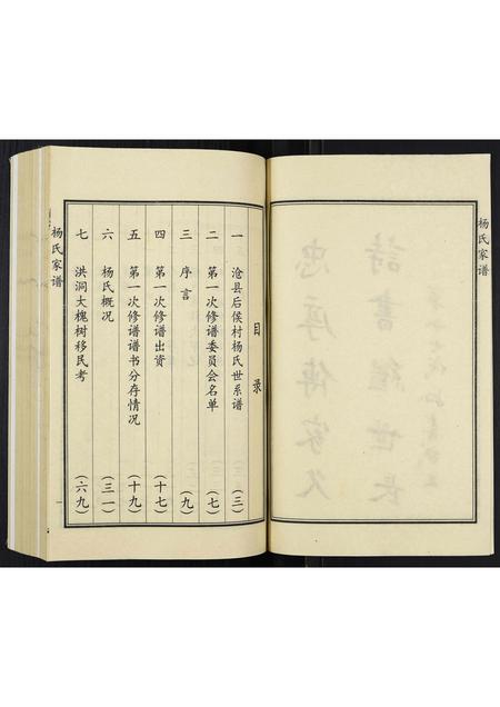 河北杨氏-杨氏家谱.pdf电子版插图3