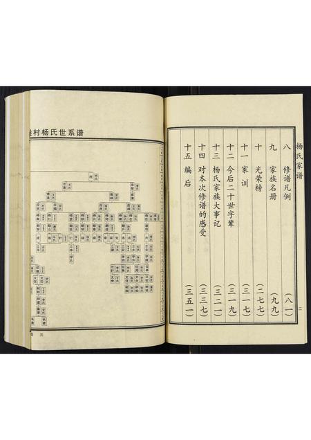 河北杨氏-杨氏家谱.pdf电子版插图4