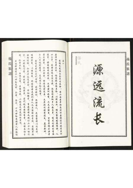 河北杨氏-杨氏族谱.pdf电子版插图3