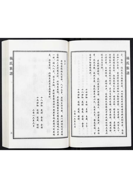 河北杨氏-杨氏族谱.pdf电子版插图4