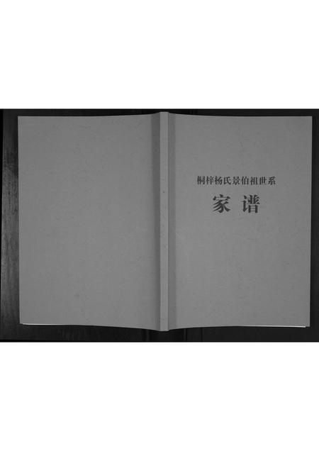 贵州杨氏-桐梓杨氏景伯祖世系家谱.pdf电子版插图
