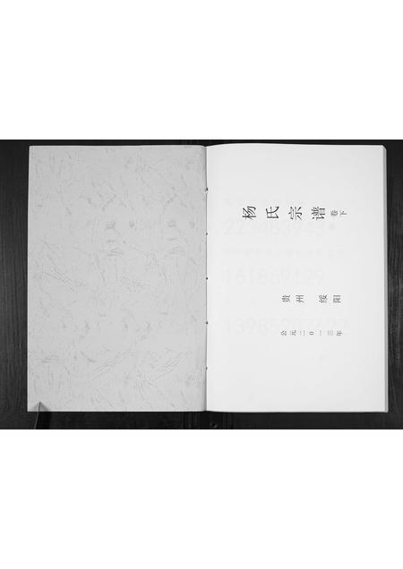 贵州杨氏-杨氏宗谱.pdf电子版插图1