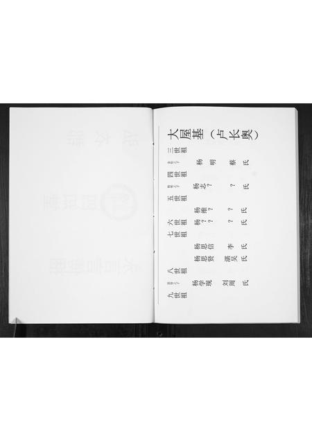 贵州杨氏-杨氏宗谱.pdf电子版插图4