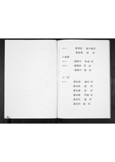 贵州杨氏-杨氏宗谱.pdf电子版插图5