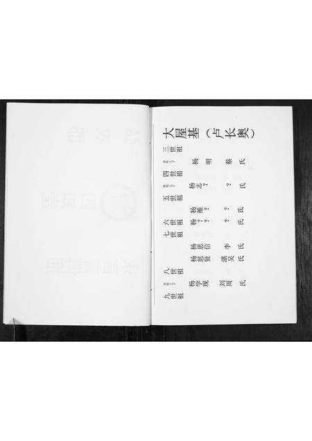 贵州杨氏-杨氏宗谱.pdf电子版插图4