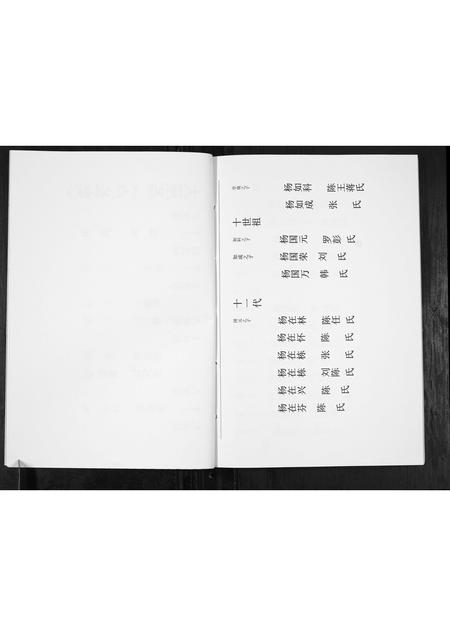 贵州杨氏-杨氏宗谱.pdf电子版插图5