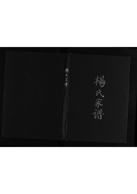 贵州杨氏-杨氏宗谱[不分卷].pdf电子版插图