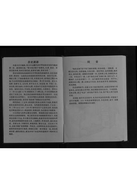 贵州杨氏-杨氏宗谱[不分卷].pdf电子版插图4