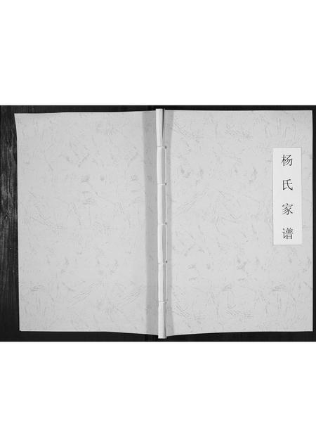 贵州杨氏-杨氏家谱[不分卷].pdf电子版插图