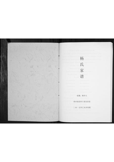 贵州杨氏-杨氏家谱[不分卷].pdf电子版插图1