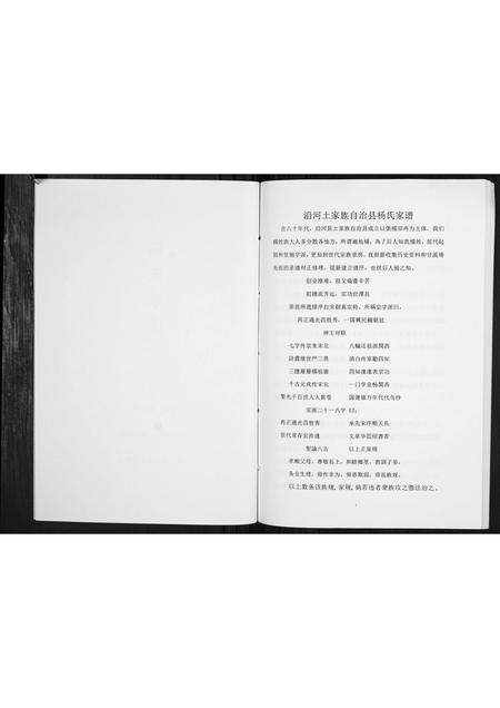 贵州杨氏-杨氏家谱[不分卷].pdf电子版插图2