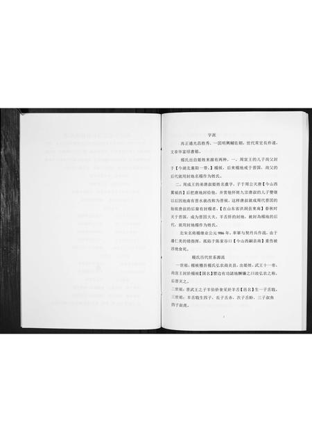 贵州杨氏-杨氏家谱[不分卷].pdf电子版插图3