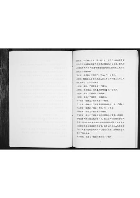 贵州杨氏-杨氏家谱[不分卷].pdf电子版插图4