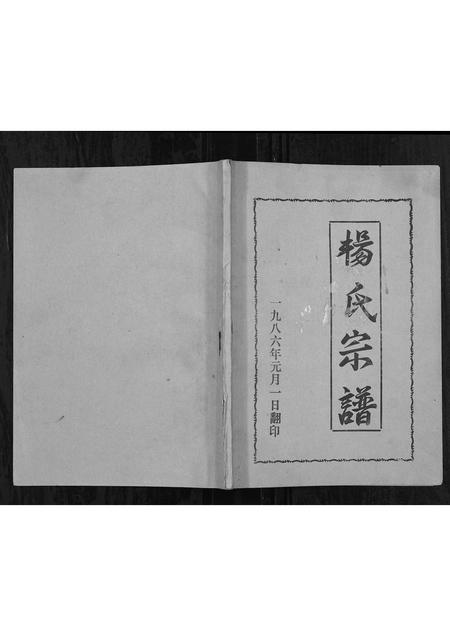 辽宁杨氏-杨氏家谱[不分卷].pdf电子版插图