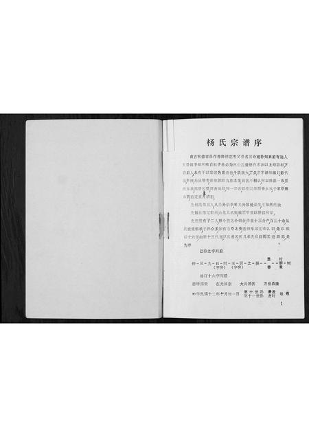 辽宁杨氏-杨氏家谱[不分卷].pdf电子版插图1