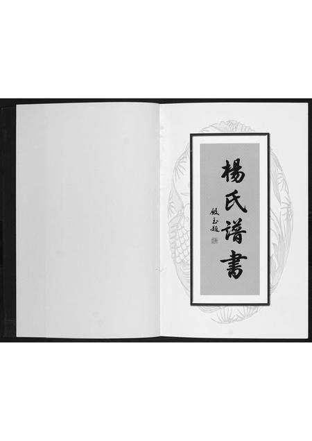 辽宁杨氏-杨氏谱书.pdf电子版插图1