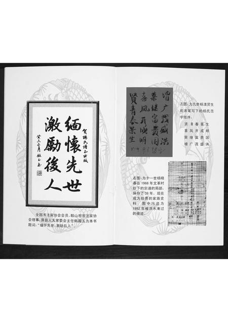 辽宁杨氏-杨氏谱书.pdf电子版插图2