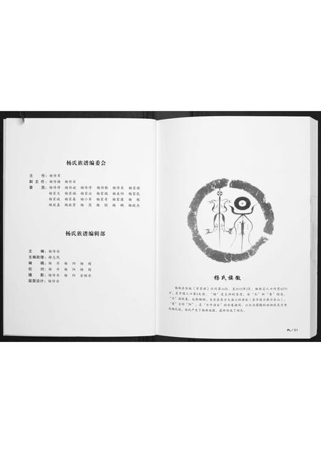 陜西杨氏-杨氏族谱.pdf电子版插图2