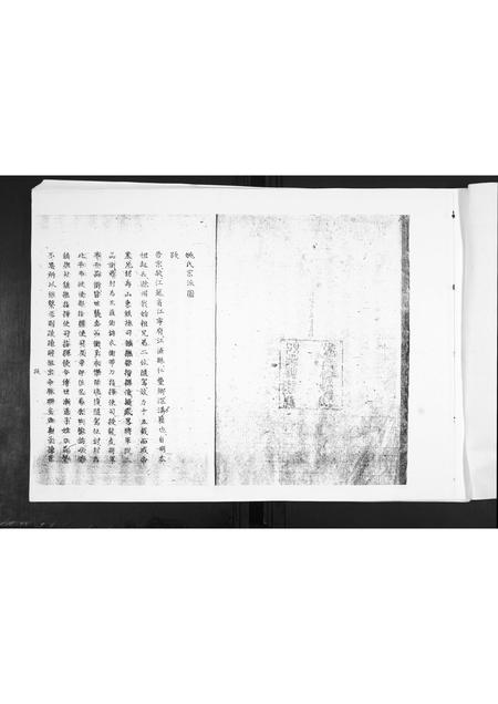 山东姚氏-姚氏族谱.pdf电子版插图1