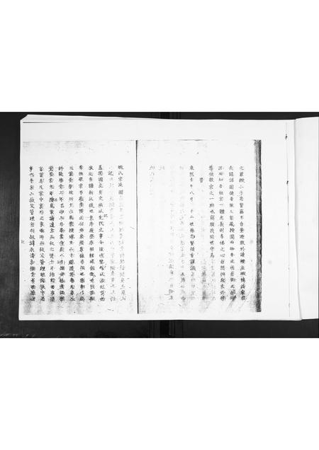 山东姚氏-姚氏族谱.pdf电子版插图2