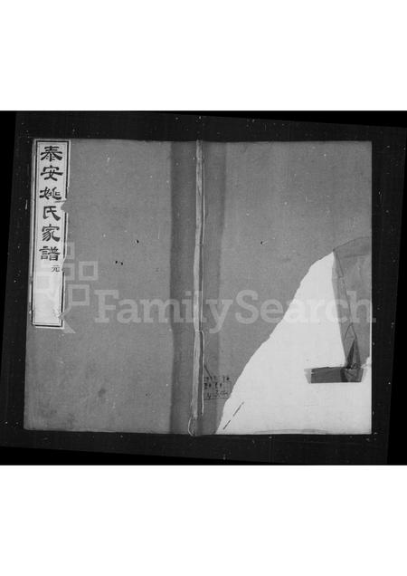 山东姚氏-姚氏家谱(别名：泰安姚氏家谱).pdf电子版插图