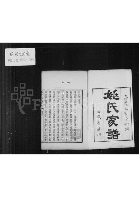 山东姚氏-姚氏家谱(别名：泰安姚氏家谱).pdf电子版插图2