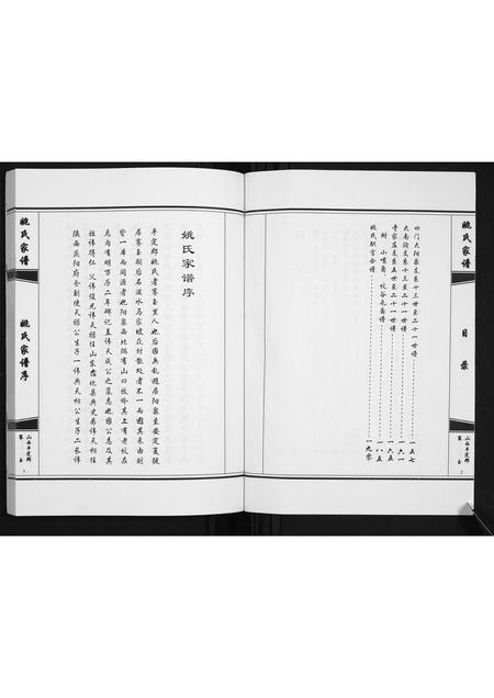山西姚氏-姚氏家谱.pdf电子版插图2