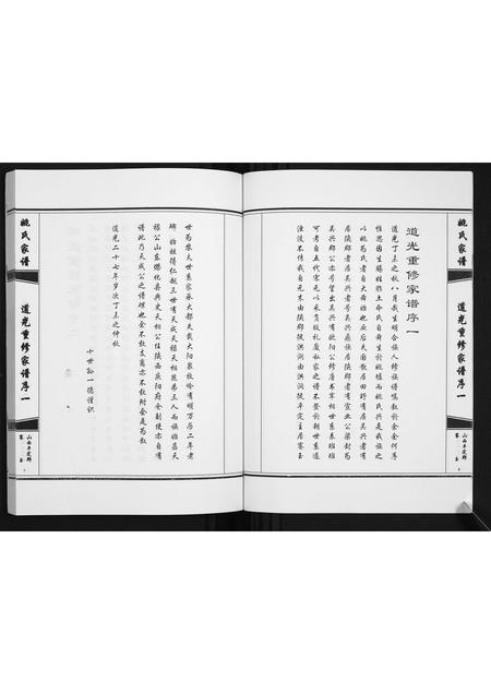 山西姚氏-姚氏家谱.pdf电子版插图5