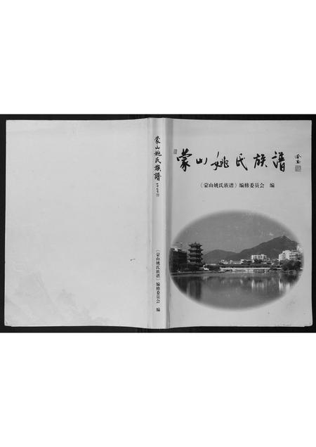 广西姚氏-蒙山姚氏族谱.pdf电子版插图