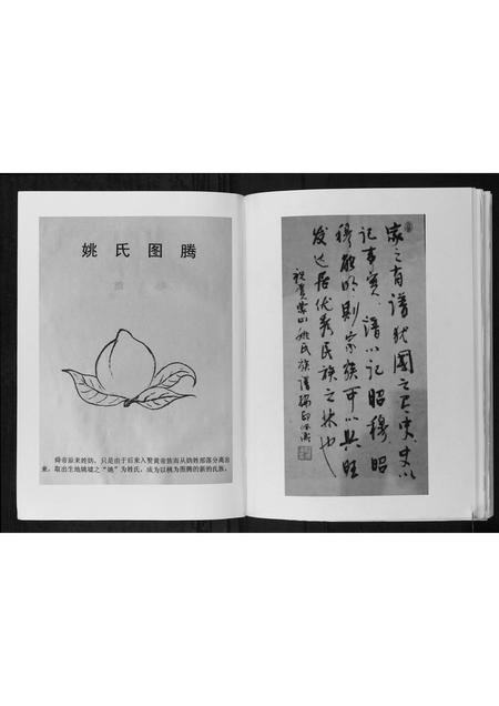 广西姚氏-蒙山姚氏族谱.pdf电子版插图3