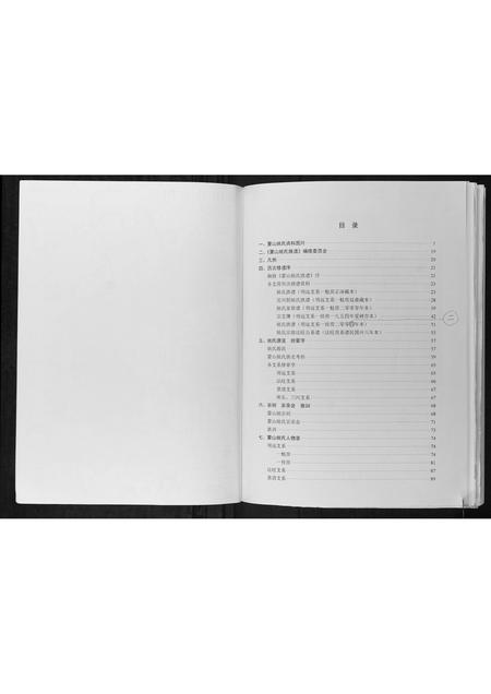 广西姚氏-蒙山姚氏族谱.pdf电子版插图5