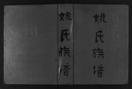 贵州姚氏-姚氏族谱[不分卷].pdf电子版插图
