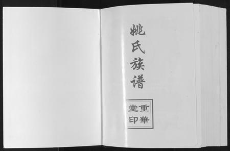 贵州姚氏-姚氏族谱[不分卷].pdf电子版插图1